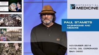 6 ways mushrooms can save the world  Paul Stamets  TED [upl. by Enyahc75]