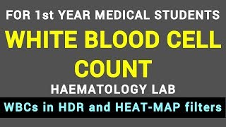 WHITE BLOOD CELL COUNT  HAEMATOLOGY LAB  BLOOD PHYSIOLOGY PRACTICAL [upl. by Namyac]