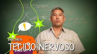 TECIDO NERVOSO  HISTOLOGIA  BIOLOGIA [upl. by Lehpar]