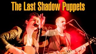 The Last Shadow Puppets  Club 69 Brussels  Full Show 2016 [upl. by Brit]