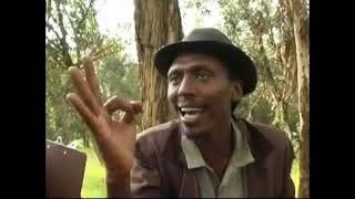 Eritrean comedy suzinino tafla and behabelom Trgum [upl. by Seuqirdor392]