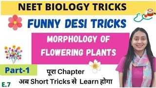 NEET BIOLOGY TRICKS Morphology of Flowering Plants  Part1 [upl. by Dorene130]