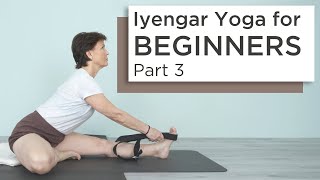 Iyengar Yoga for Beginners Part 3 with Kathy Cook HD [upl. by Nimesh]