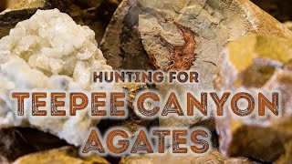 Rockhounding South Dakota  The Hunt for Teepee Canyon Agates [upl. by Surat]