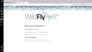 Install Wildfly Application Server On Windows [upl. by Pages]