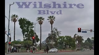 Wilshire Blvd  Los Angeles Driving Tour [upl. by Cathee]