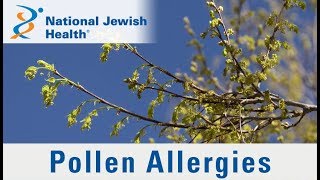 What is Skin Allergy Symptoms Causes Diagnosis and Triggers [upl. by Ennovihs]