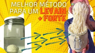 Como fazer levain do zero  método sem desperdício [upl. by Novak]