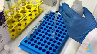 02  DNA Isolation from bacterial culture [upl. by Anohsal]