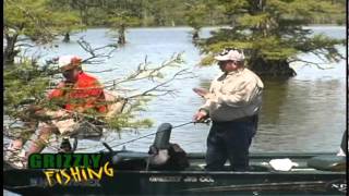 Grizzly Jig Crappie FishingHow to Fish Reelfoot Lake Cypress [upl. by Imena193]