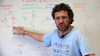 4 maneras de polarizar un transistor [upl. by Aicenav]