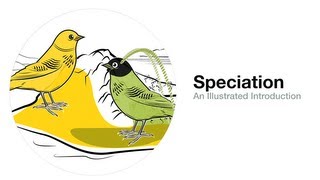 Speciation An Illustrated Introduction [upl. by Skiest]