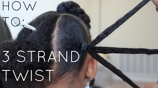 How To 3 Strand Twist  Step by Step [upl. by Eiralam]