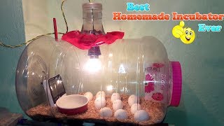 DIY  HOMEMADE INCUBATOR  HOW TO MAKE AN EGG INCUBATOR  HATCHING CHICKEN EGGS [upl. by Ayt]