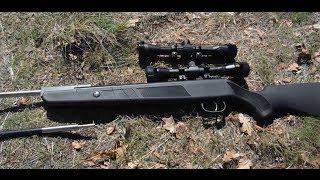 Beeman Dual Caliber Air Rifle  How to Easily Site in Both Barrels [upl. by Orodisi505]