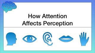 How Attention Affects Perception [upl. by Sommers]