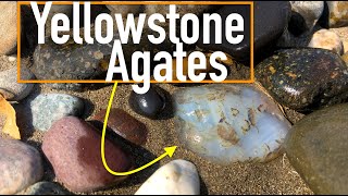 Why They Call it the quotTreasure Statequot  Gemstone Hunting for Yellowstone River Agates in Montana [upl. by Mariellen]