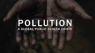 Pollution a global public health crisis [upl. by Marola]