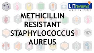 Methicillin Resistant Staphlococcus Aureus Infections [upl. by Lerrej770]