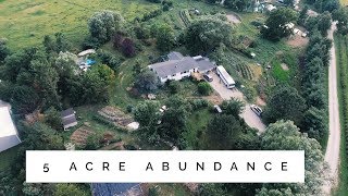 the 5 Acre Permaculture Homestead  Unbelievable Abundance [upl. by Illona]