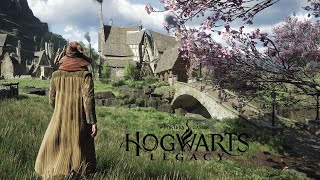 4K Exploring Hogsmeade in Hogwarts Legacy [upl. by Jepum726]