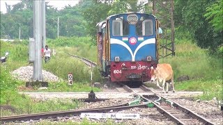 DARJEELING TOY TRAIN Full Journey  DARJEELING HIMALAYAN RAILWAYS  Indian Railways [upl. by Einahpts]