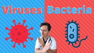 Bacteria vs viruses  What are the differences  Doctor Explains [upl. by Belia]