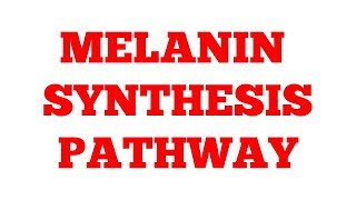 Melanin synthesis pathway  Phenylalanine Metabolism  Part2  Biochemistry [upl. by Aenel]