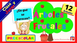 ARBOLES FRUTALES Para Niños Aprende en Casa [upl. by Yhtamit144]