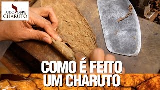 Como é feito um charuto  Tudo Sobre Charuto [upl. by Collum]