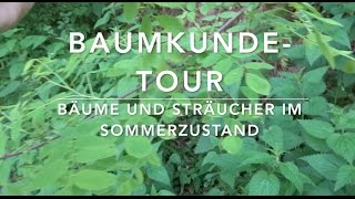 BaumkundeTour 17 Bäume und Sträucher erkennen [upl. by Epolulot786]