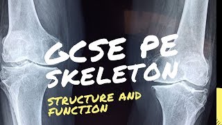 GCSE PE Structure and Functions of the Skeleton [upl. by Morell]