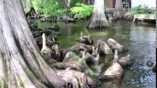 Reelfoot Crappie Show [upl. by Eenafets34]