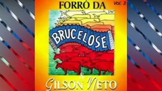 BRUCELOSE  Doce pecado com letra [upl. by Enilorak]