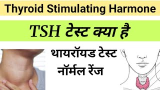 TSH Test in Hindi  Thyroid Stimulating Harmone  tsh report in hindi [upl. by Jozef34]