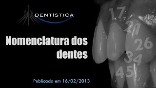 Nomenclatura dos dentes [upl. by Dur88]