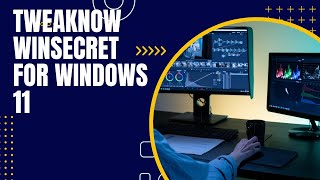 TweakNow WinSecret for Windows 11 [upl. by Llehsam565]