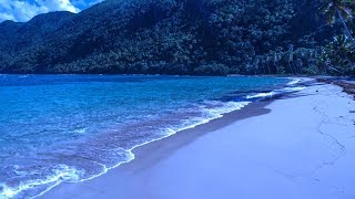 Carribean Ocean Waves at Night for Sleeping  Mix Them With Your Sleep Music [upl. by Maitland758]