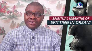 SPIRITUAL MEANING OF SPITTING IN DREAM  Biblical Meaning Of Dreaming About Spitting Out [upl. by Nipha]