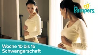 Schwangerschaftswoche 10 bis 15  Anzeichen und Symptome  Pampers [upl. by Esilenna]