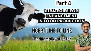 Strategies for enhancement in Food Production  Part 4  NCERT LINE TO LINE  Thannambikkai Batch [upl. by Eugaet]