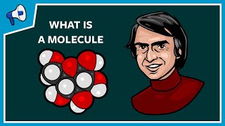 What Is a Molecule [upl. by Niliram]