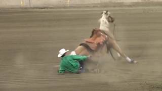 Horse Reining Accident [upl. by Diver]