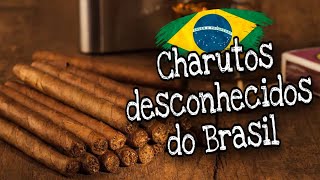 CHARUTOS DESCONHECIDOS DO BRASIL [upl. by Navillus]