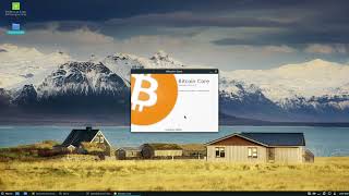 How To Install And Enable Bitcoin Core Wallet On Linux [upl. by Chemar800]