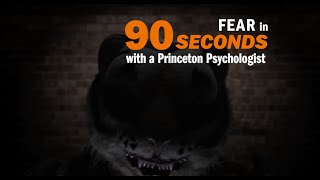 Fear explained in 90 seconds [upl. by Enyrhtac223]