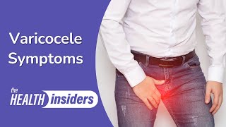 Varicocele Symptoms and Causes [upl. by Etnohc954]