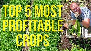 Unlock the Secret to Maximum Profits The Top 5 Most Lucrative Crops for Market Gardeners Revealed [upl. by Claiborne]