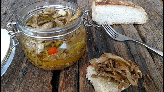 EGGPLANT PRESERVED IN OLIVE OIL Italian recipe  Italian Appetizers Bruschetta [upl. by Ettenuj]