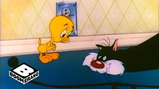 Looney Tunes Classic  Poor Puddytat  Boomerang Official [upl. by Enineg]